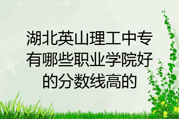 湖北英山理工中专有哪些职业学院好的分数线高的