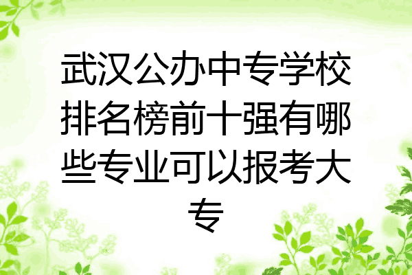 武汉公办中专学校排名榜前十强有哪些专业可以报考大专