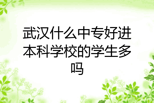武汉什么中专好进本科学校的学生多吗