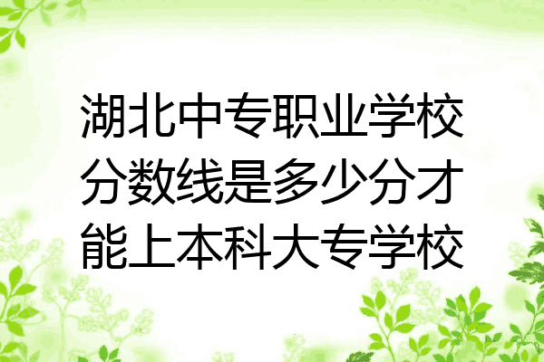 湖北中专职业学校分数线是多少分才能上本科大专学校