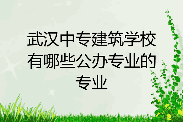 武汉中专建筑学校有哪些公办专业的专业