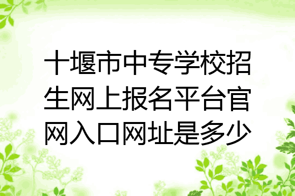 十堰市中专学校招生网上报名平台官网入口网址是多少