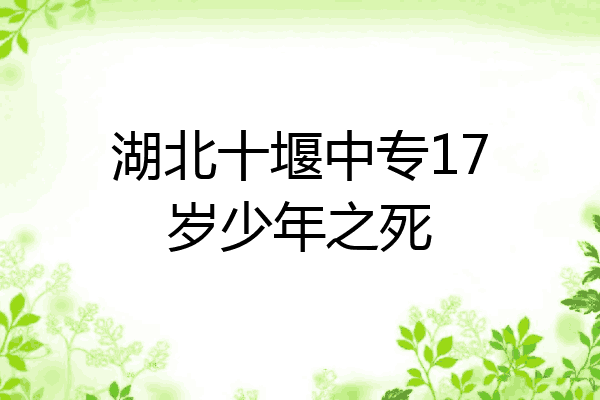 湖北十堰中专17岁少年之死