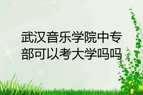 武汉音乐学院中专部可以考大学吗吗