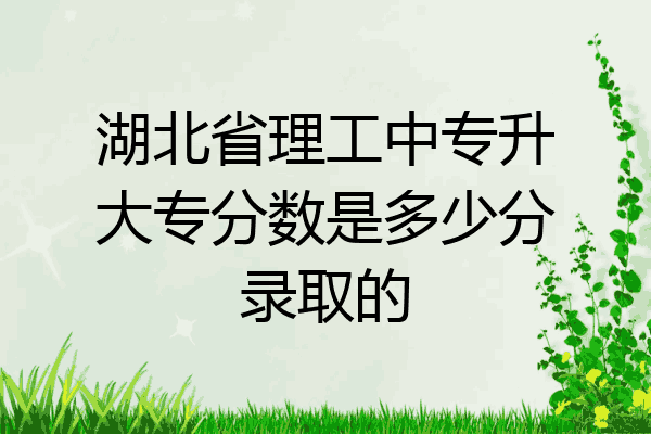 湖北省理工中专升大专分数是多少分录取的