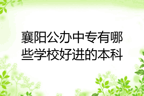 襄阳公办中专有哪些学校好进的本科