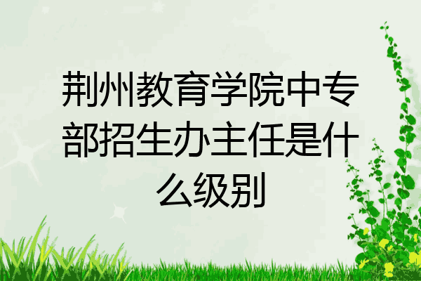 荆州教育学院中专部招生办主任是什么级别