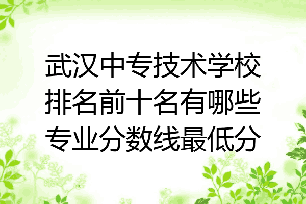 武汉中专技术学校排名前十名有哪些专业分数线最低分
