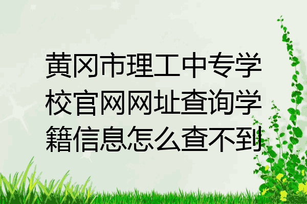 黄冈市理工中专学校官网网址查询学籍信息怎么查不到