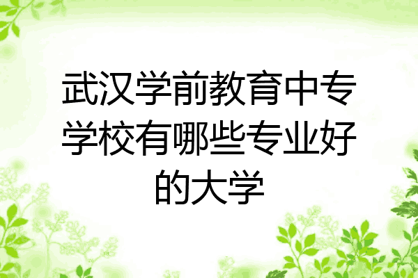 武汉学前教育中专学校有哪些专业好的大学