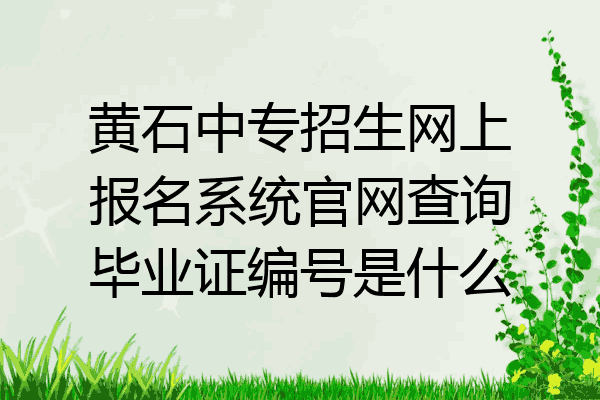 黄石中专招生网上报名系统官网查询毕业证编号是什么