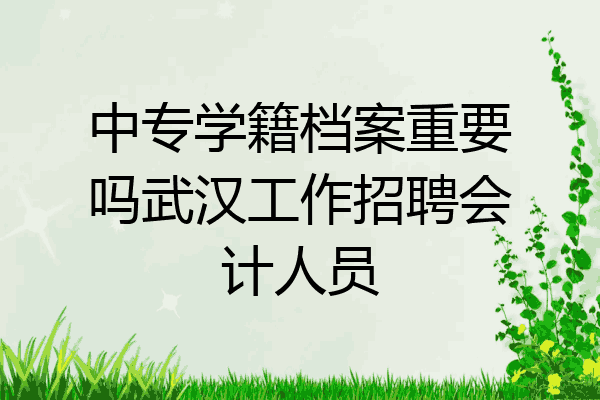 中专学籍档案重要吗武汉工作招聘会计人员