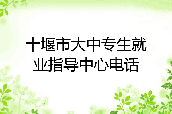 十堰市大中专生就业指导中心电话