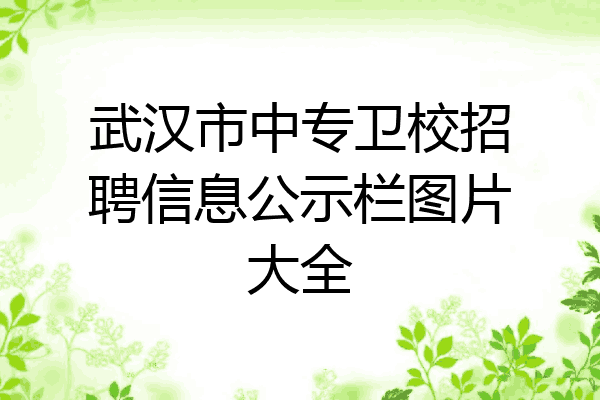 武汉市中专卫校招聘信息公示栏图片大全