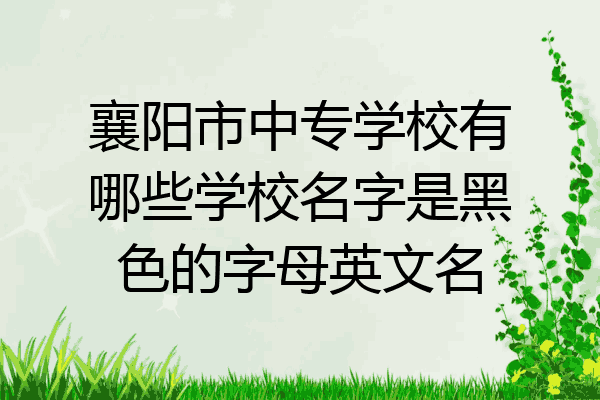 襄阳市中专学校有哪些学校名字是黑色的字母英文名