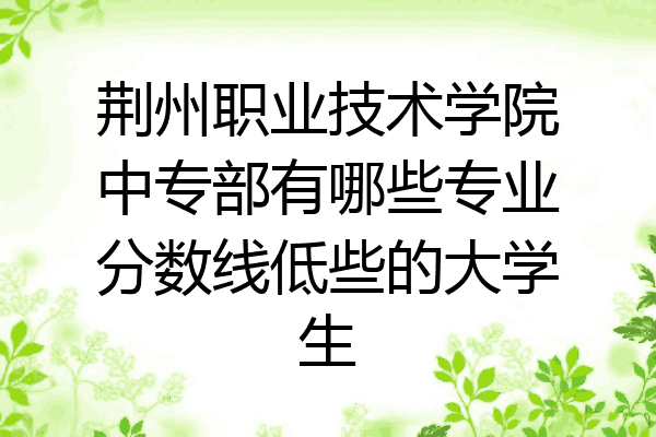 荆州职业技术学院中专部有哪些专业分数线低些的大学生