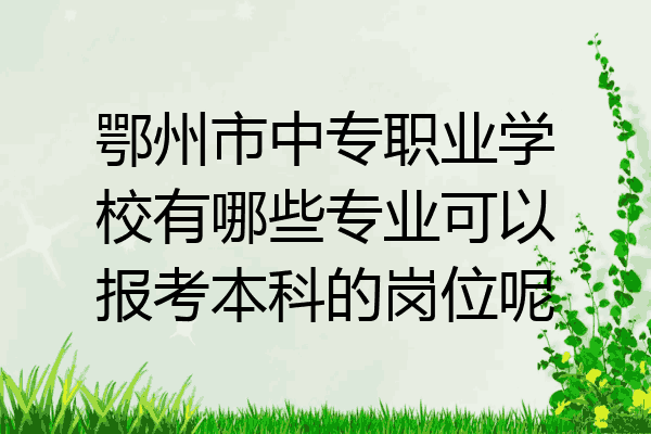 鄂州市中专职业学校有哪些专业可以报考本科的岗位呢