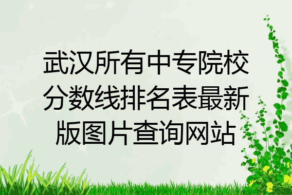 武汉所有中专院校分数线排名表最新版图片查询网站
