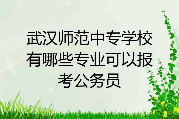 武汉师范中专学校有哪些专业可以报考公务员