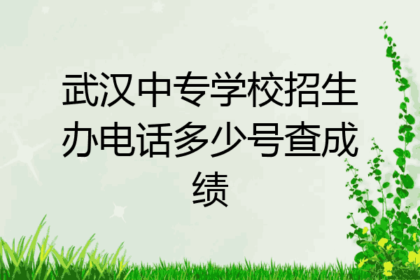 武汉中专学校招生办电话多少号查成绩