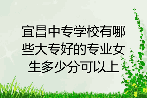 宜昌中专学校有哪些大专好的专业女生多少分可以上