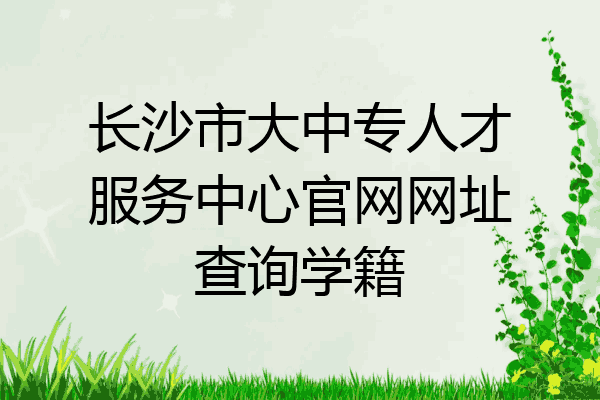长沙市大中专人才服务中心官网网址查询学籍