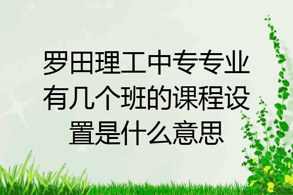 罗田理工中专专业有几个班的课程设置是什么意思
