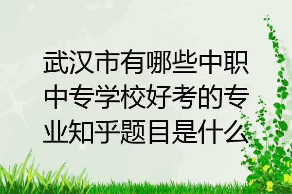 武汉市有哪些中职中专学校好考的专业知乎题目是什么