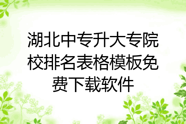 湖北中专升大专院校排名表格模板免费下载软件