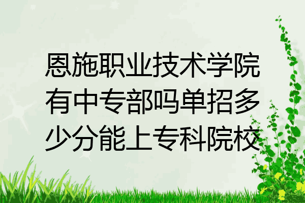 恩施职业技术学院有中专部吗单招多少分能上专科院校