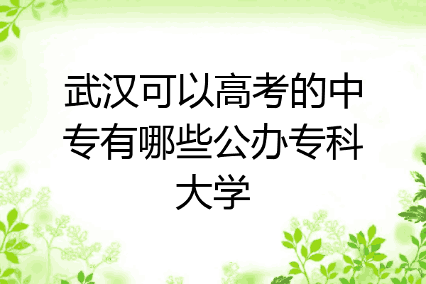 武汉可以高考的中专有哪些公办专科大学