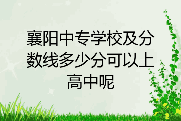 襄阳中专学校及分数线多少分可以上高中呢