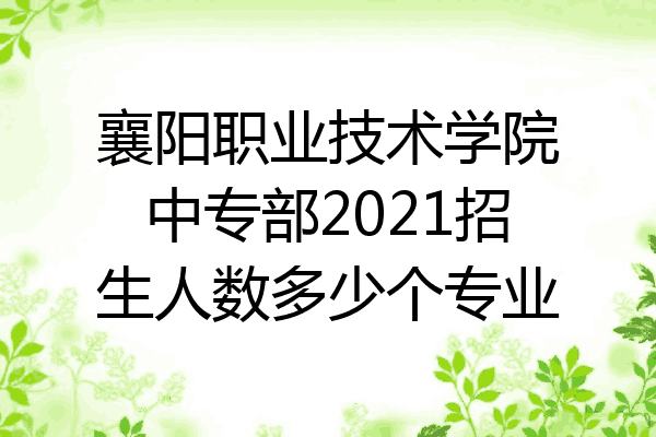 襄阳职业技术学院中专部2021招生人数多少个专业