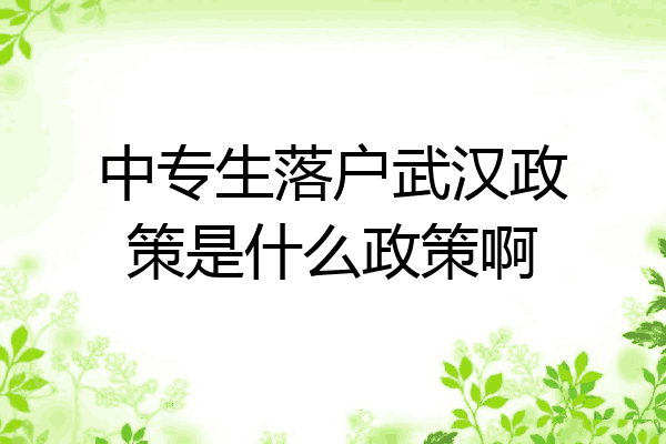 中专生落户武汉政策是什么政策啊