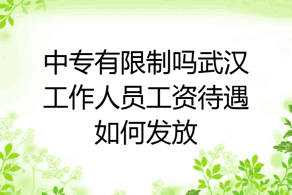 中专有限制吗武汉工作人员工资待遇如何发放