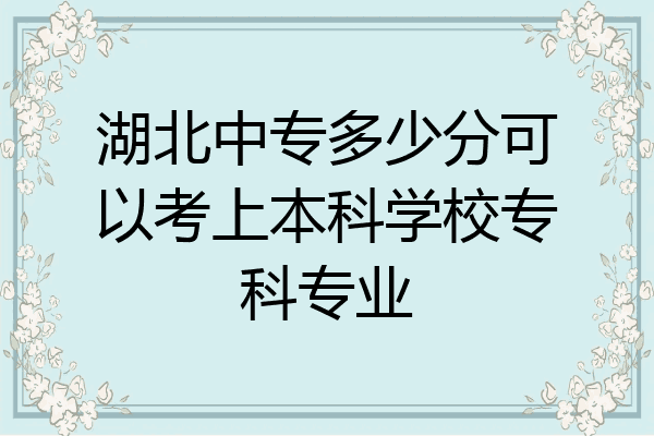 湖北中专多少分可以考上本科学校专科专业