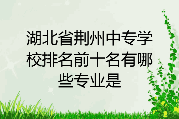 湖北省荆州中专学校排名前十名有哪些专业是