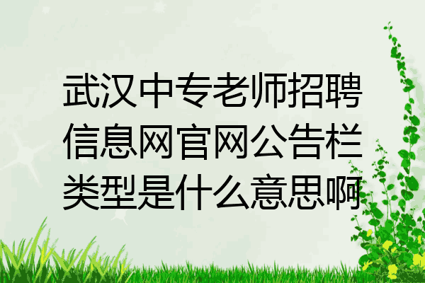 武汉中专老师招聘信息网官网公告栏类型是什么意思啊