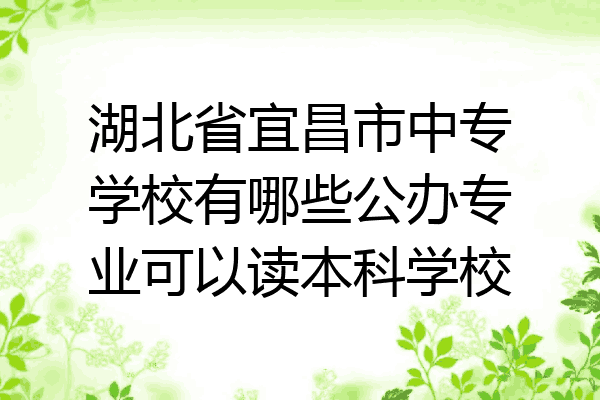 湖北省宜昌市中专学校有哪些公办专业可以读本科学校