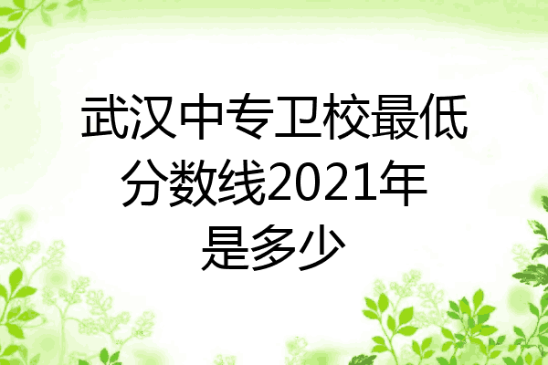 武汉中专卫校最低分数线2021年是多少