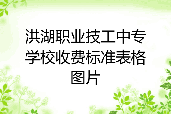 洪湖职业技工中专学校收费标准表格图片