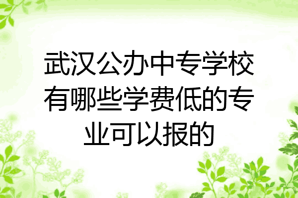 武汉公办中专学校有哪些学费低的专业可以报的