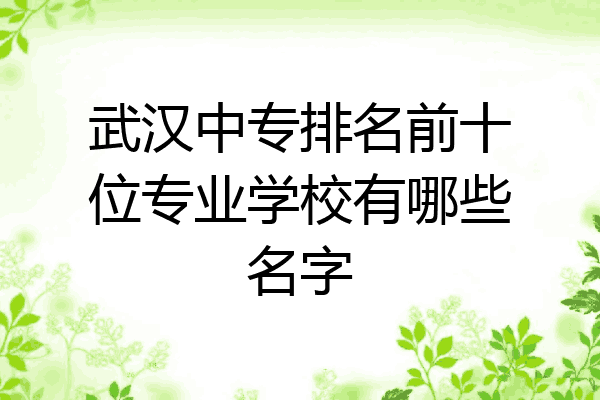 武汉中专排名前十位专业学校有哪些名字