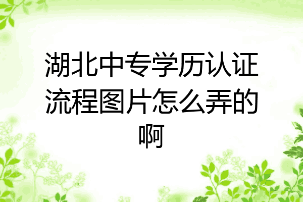 湖北中专学历认证流程图片怎么弄的啊