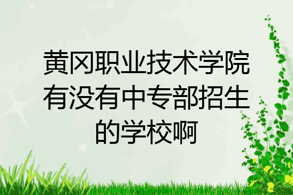黄冈职业技术学院有没有中专部招生的学校啊