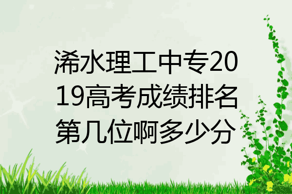 浠水理工中专2019高考成绩排名第几位啊多少分