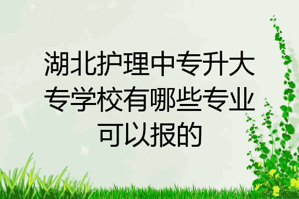 湖北护理中专升大专学校有哪些专业可以报的