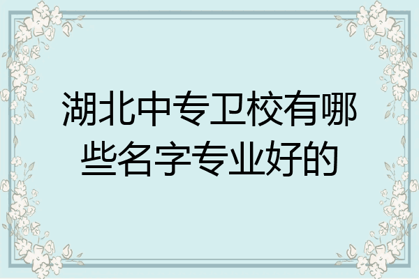 湖北中专卫校有哪些名字专业好的