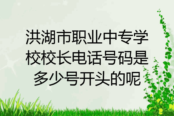 洪湖市职业中专学校校长电话号码是多少号开头的呢