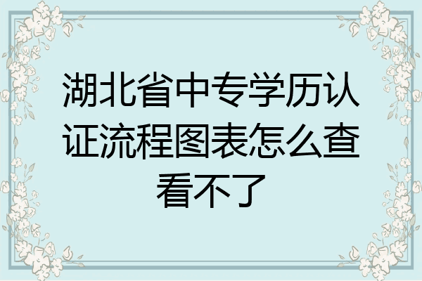 湖北省中专学历认证流程图表怎么查看不了